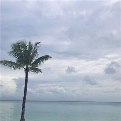 永恒雪域官方版下载